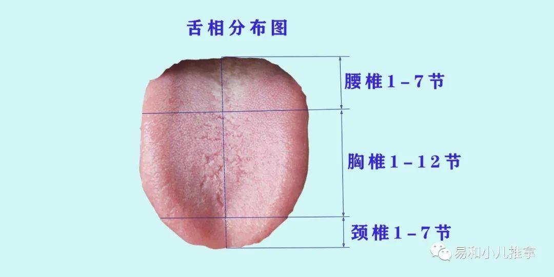 白话舌相